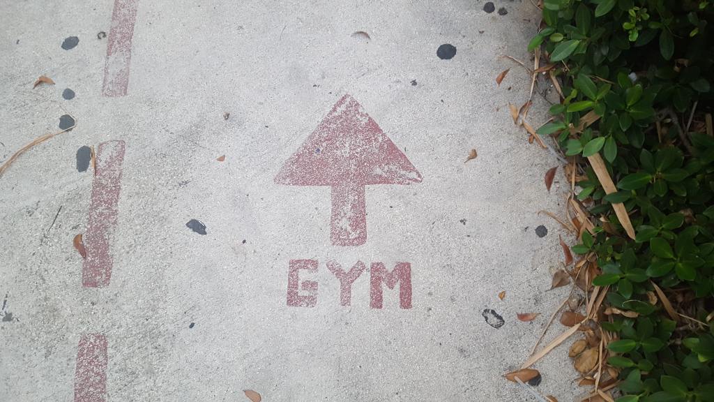 Close up of a pavement painted with a red sign reading 'Gym' in capital letters beneath a red arrow, with vegetation growing at the side.