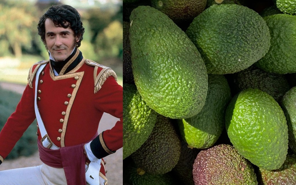 Adrian Lukis in military uniform as George Wickham on the left and a close-up of Hass avocados on the right