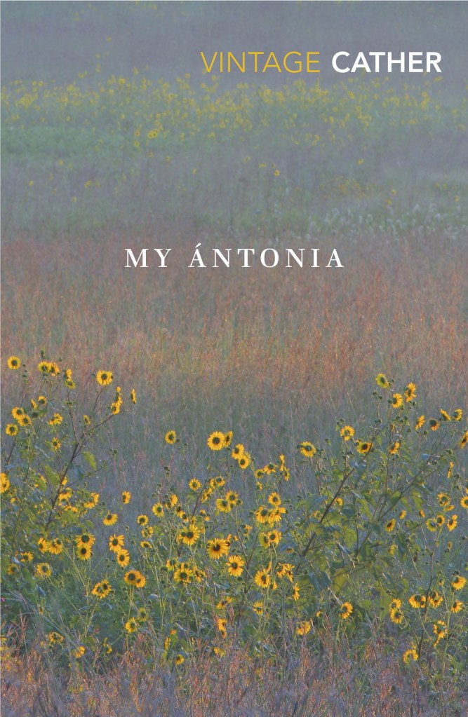 Cover of the Vintage edition of My Antonia by WIlla Cather, with yellow flowers growing out of tall prairie grass.