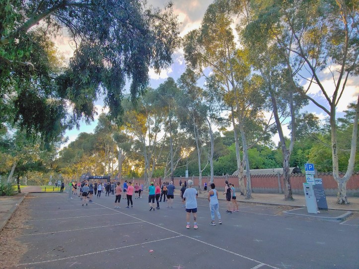 Runners lining up at the start of the race, with tall gum trees and the wall of the zoo in the background.