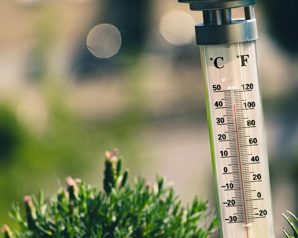Close-up of a thermometer reading 41 degrees Celsius against a green, garden background.