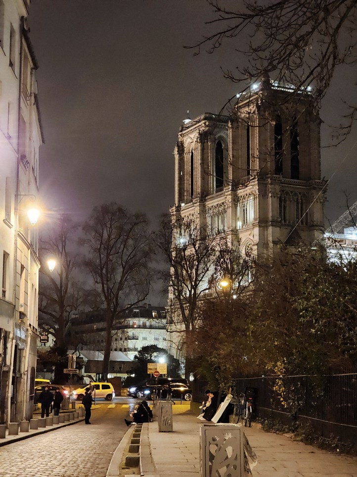 A view of the facade of Notre Dame on the right, with townhouses and a small street on the left.