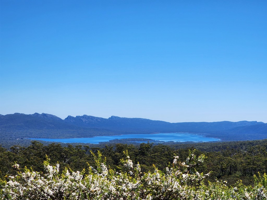 A shot from the Balconies walk in the Grampians National Park, showing distant mountains, a blue lake in the middle distance surrounded by lush green woodland, and white flowers on a bush in the foreground.